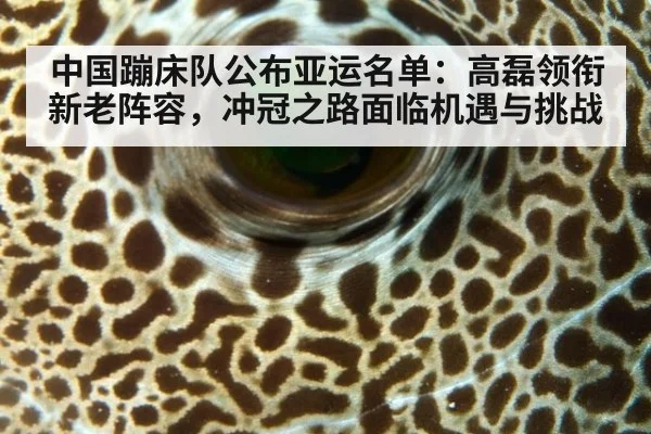 中国蹦床队公布亚运名单:高磊领衔新老阵容,冲冠之路面临机遇与挑战